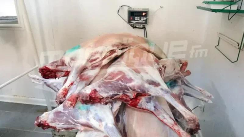 المدير الجهوي للتجارة بالقصرين: سعر كلغ العلوش لن يتجاوز 50 دينارا