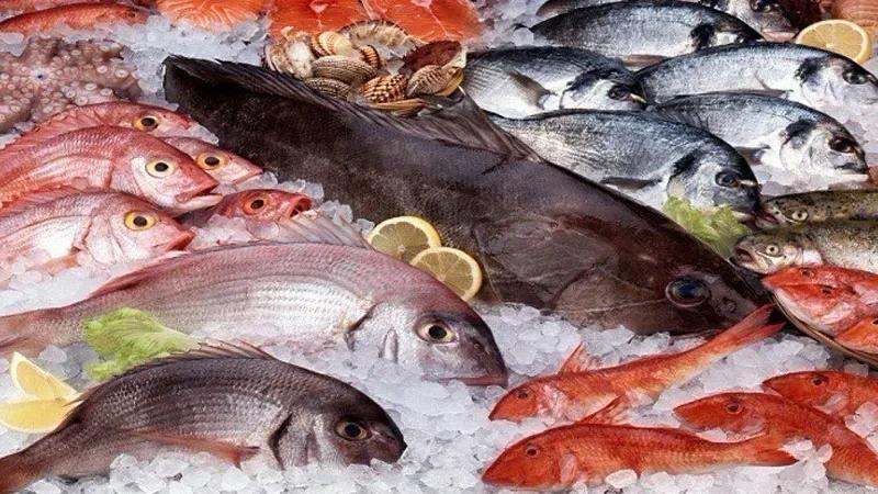 ميزان التجارة الخارجية لمنتوجات الصيد البحري يُسجّل فائضا