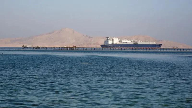 الدنمارك تحتجز سفينة حاويات آتية من روسيا