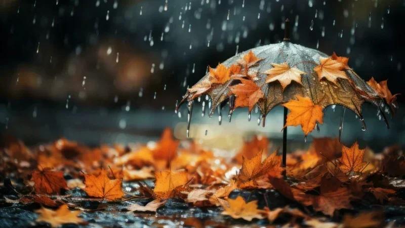 Météo: Températures en baisse et pluies éparses