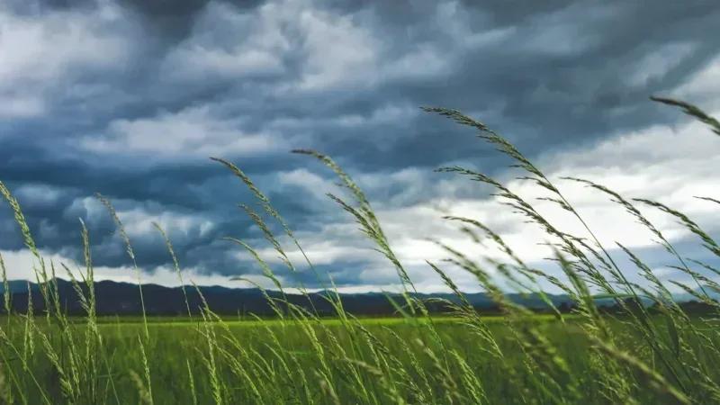 Météo : Temps venteux et mer houleuse ce samedi