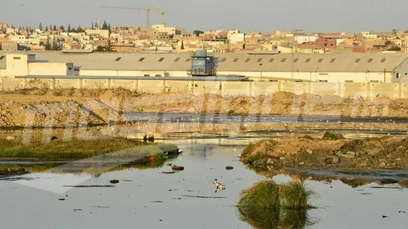 Une stratégie pour l’aménagement de  Sabkhet Sijoumi