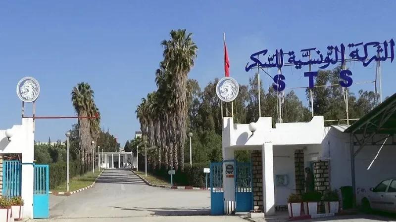 الشركة التونسية للسكر تستأنف نشاطها وتوقع إنتاج يومي بـ600 طن
