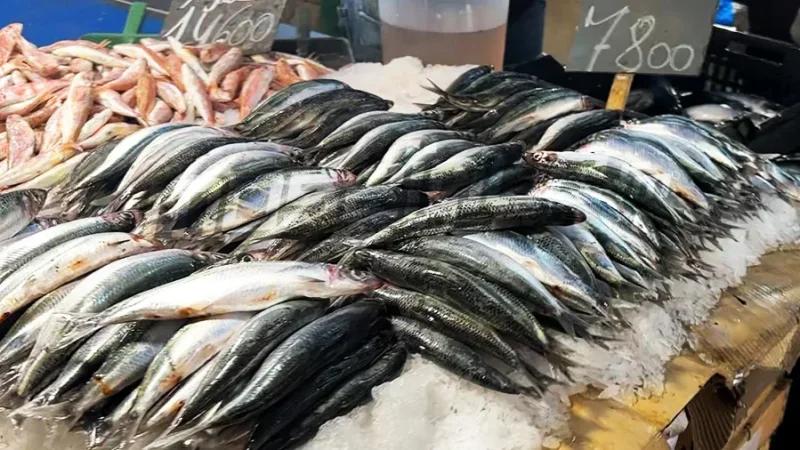 السمك ليس في المتناول.. والسردين يفارق موائد محدودي الدخل