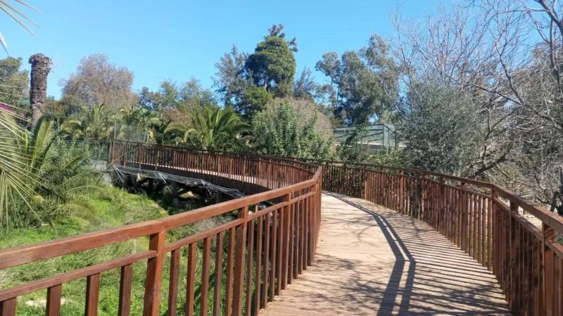 حديقة البلفدير: فضاء جديد للأسود..توسعة أخرى وممرات إضافية للزوار