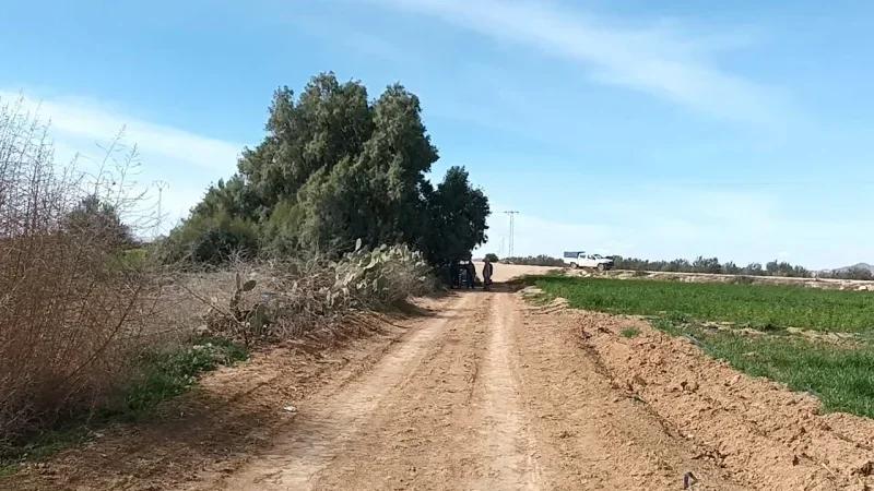 البرلمان يدرس التفويت في عقارات دولية فلاحية