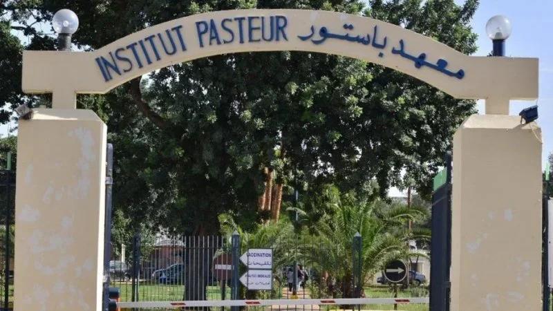يوم علمي في معهد باستور يُسلّط الضوء على للأمراض النادرة