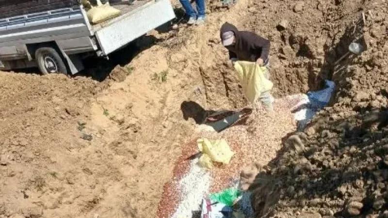 رقادة: إتلاف كميات كبيرة من الفول السوداني الفاسد