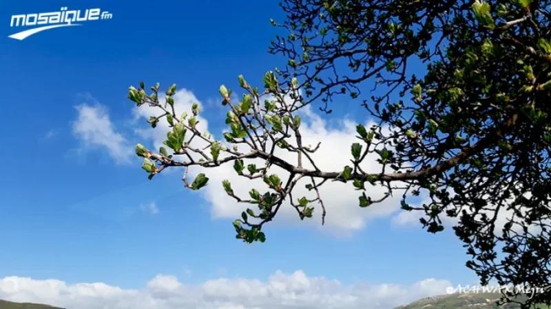 La météo du lundi 2 mars 2026