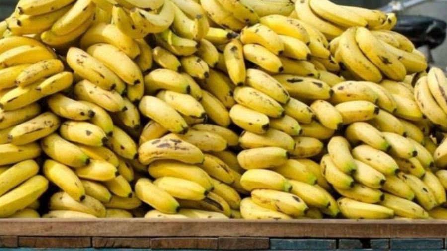 سوق الجملة.. أسعار الموز لن تتغيّر قبل 10 أيام