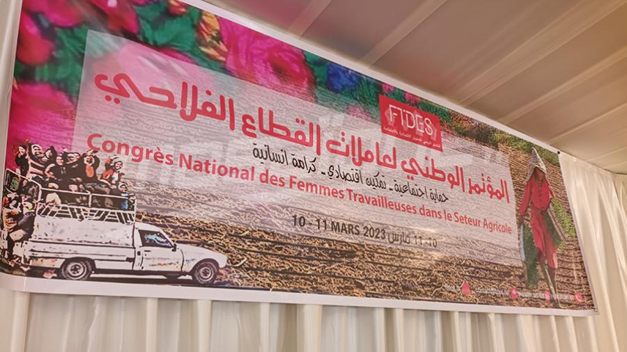بن عمر: العاملات الفلاحيات ينتظمن وقد يعجّلن برحيل السلطة