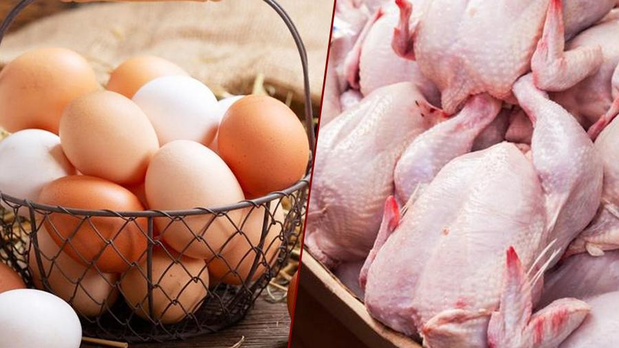 أسعار البيض والدجاج في شهر رمضان