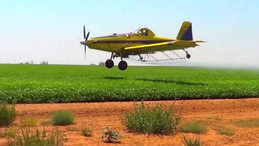 بن عروس: برمجة حصص مداواة بالطائرة وتحذير لمربّي النحل