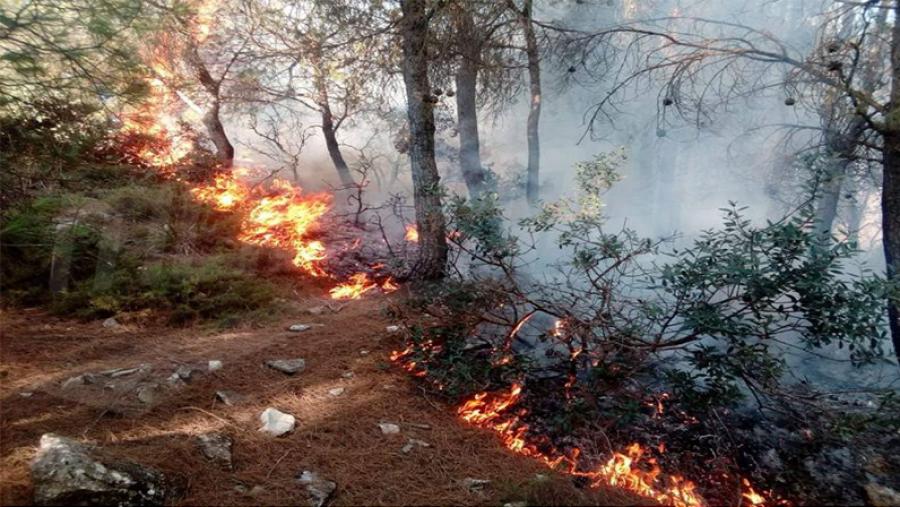 سليانة: السيطرة على حريق بجبل بلوطة