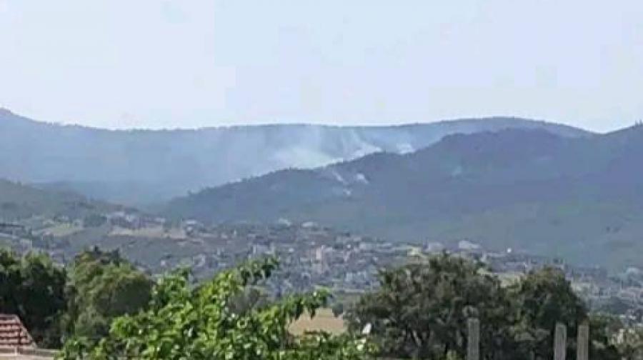 طبرقة: النيران تندلع في غابات جبل بريرم 