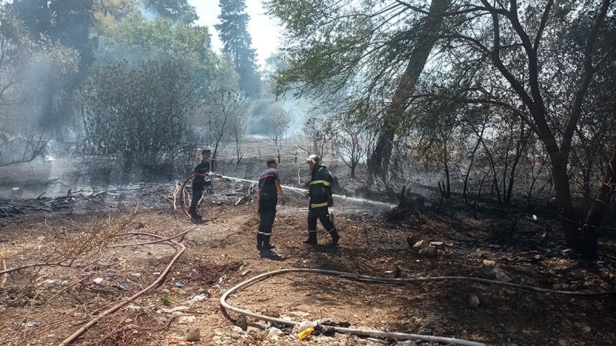 باجة : اندلاع حريق قرب محطة 'اللواج''