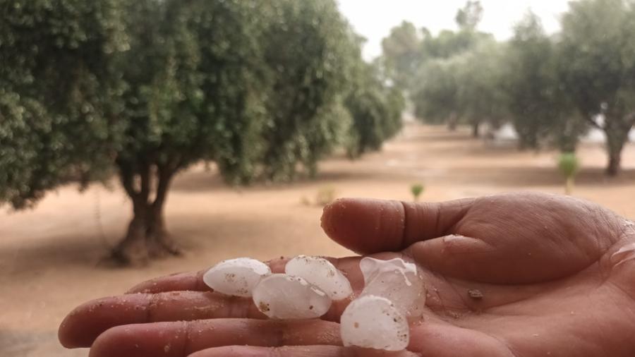 أمطار وتساقط البرد في القيروان