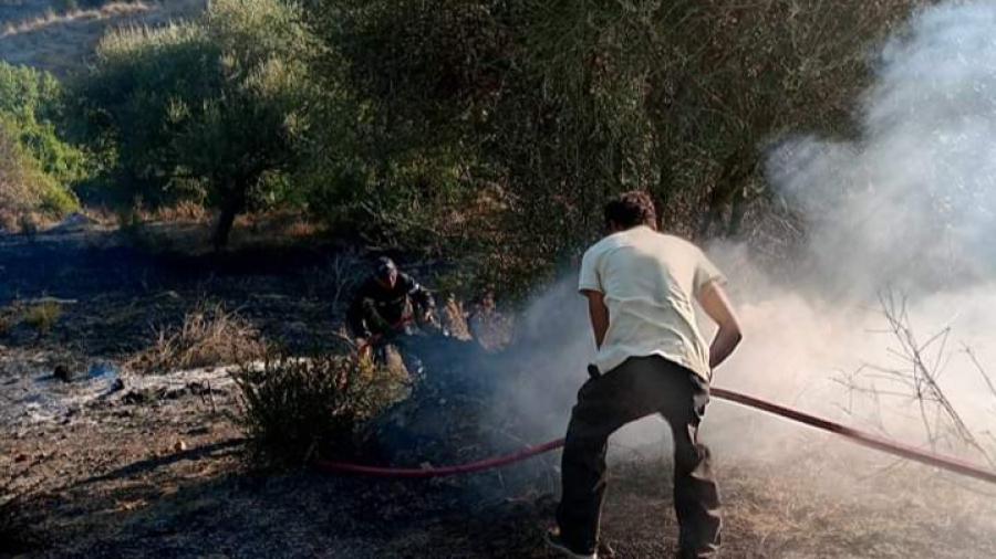 Aïn Draham : L’incendie de Tebaïnia maîtrisé