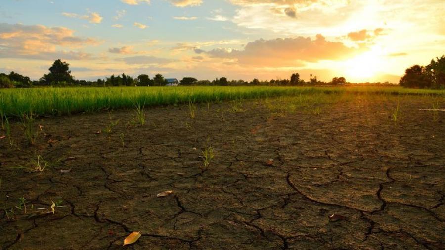 2023, l'année la plus chaude de l'Histoire...?