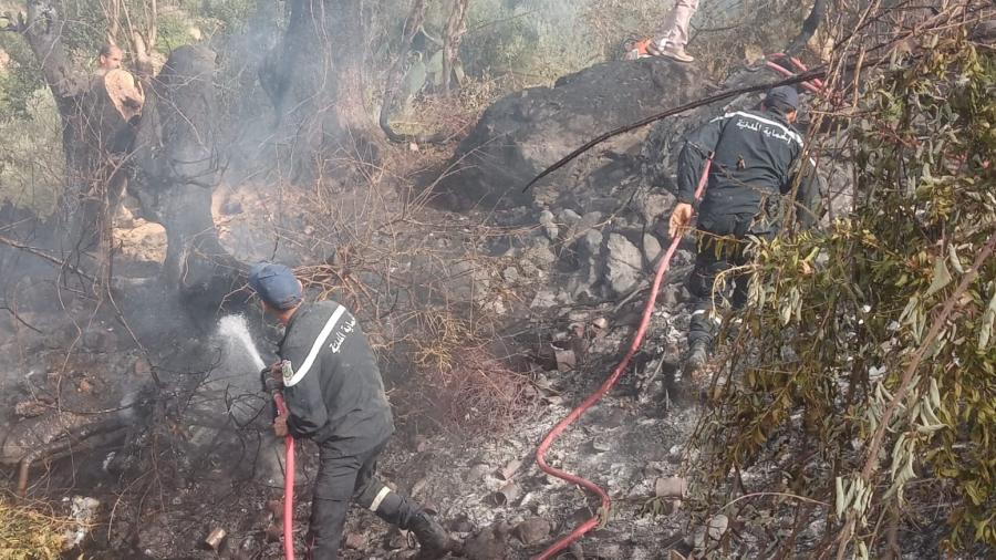 Incendies à Tabarka: Aucun blessé à déplorer...