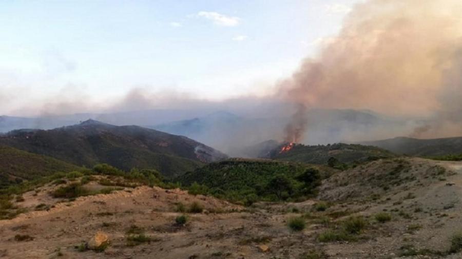 Incendie du Mont Sammama: La situation est sous contrôle...