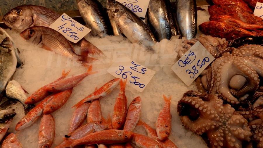 Produits de pêche: La marge de bénéfice plafonnée à 25%  