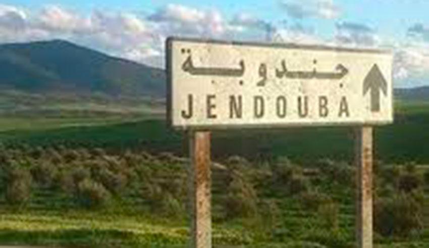 1er Salon de l’Agriculture : Jendouba, un pôle économique agricole ?