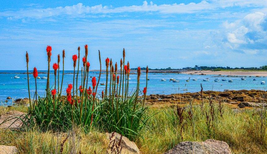 Météo : Temps partiellement nuageux sur la plupart des régions