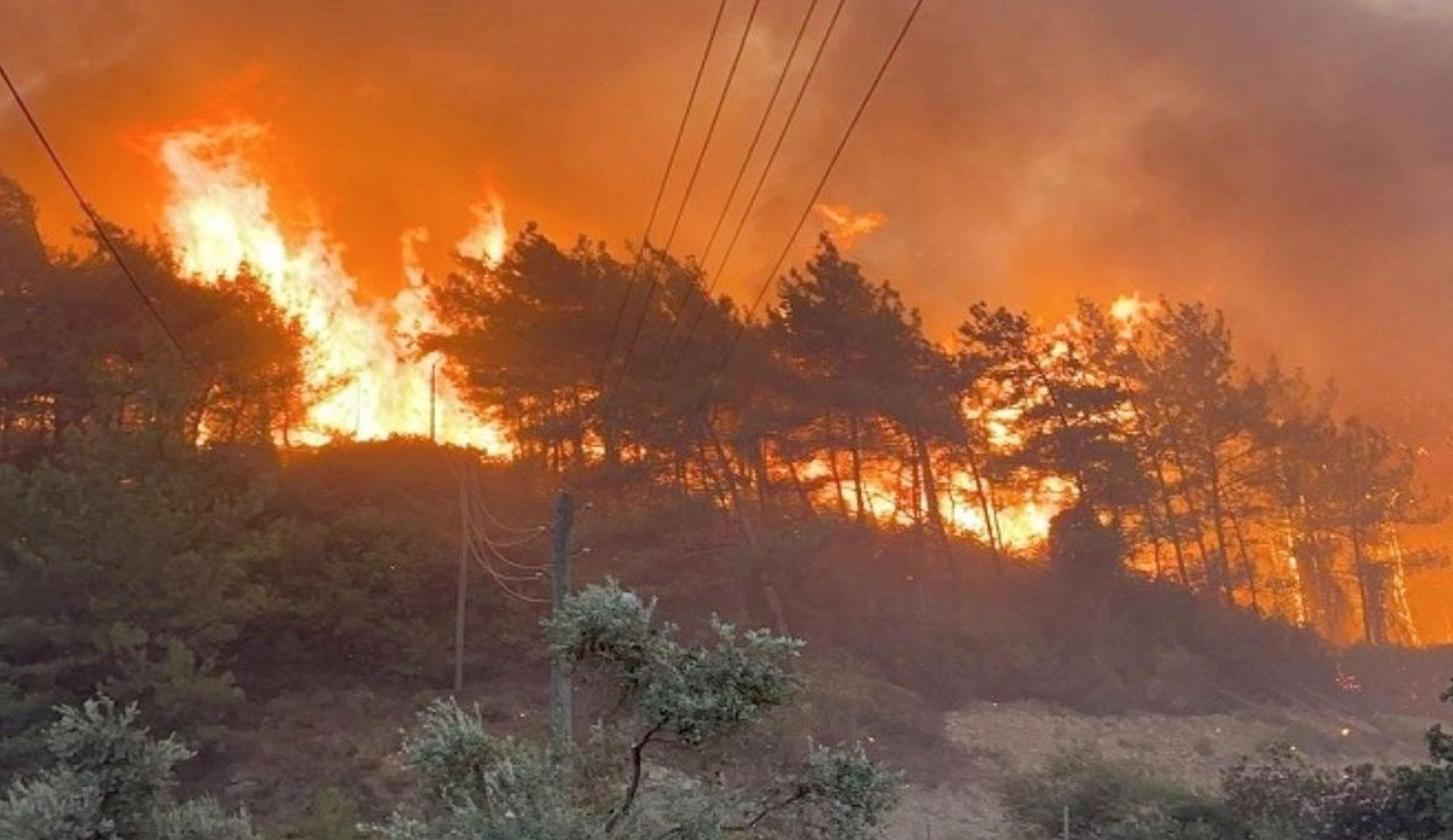 Jendouba-Incendies : Prise en charge de plus de 150 sinistrés et évacuation de plus de 100 personnes à Melloula