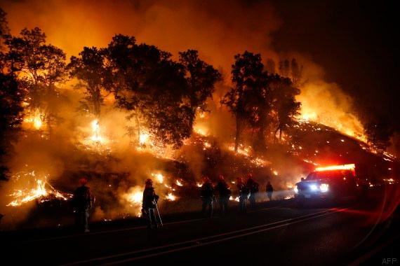 Tunisia-Agriculture Ministry : 20 fires broke out in 3 days without human damage