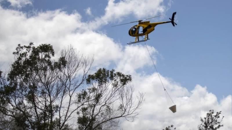 Hawaii wildfire death toll hits 99, with 25% of area combed