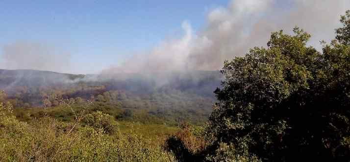 Tunisia – Sejnane: Boubogaâ forest fire under control