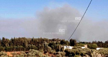 Tunisia – Beni Khiar: fire destroys 20 hectares of forest