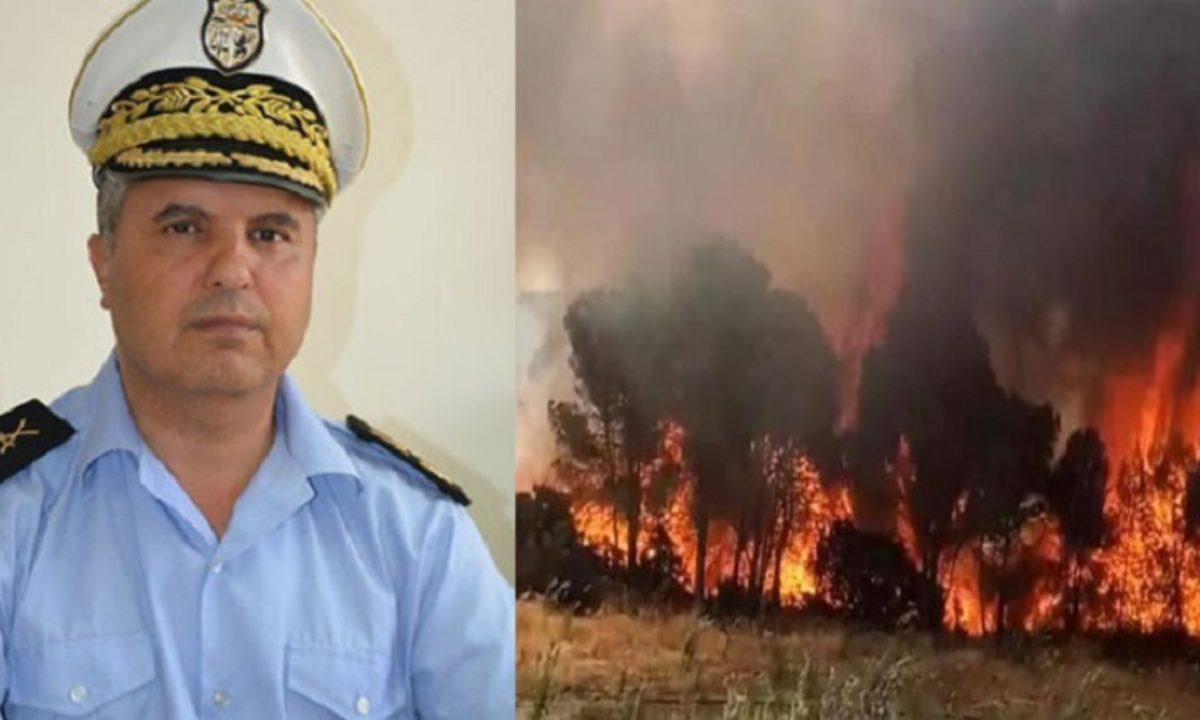 Tunisia-Moez Triaâ: 10 fires recorded during 24 hours