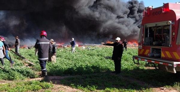 Tunisia-52 fire extinguishing operations in past 24 hours