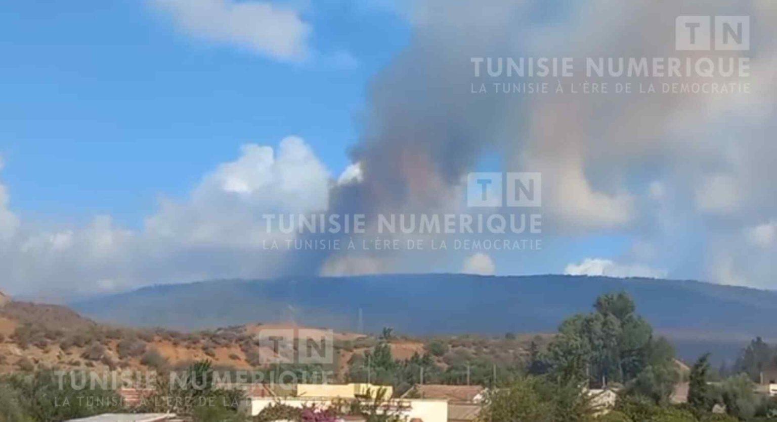 Tunisia-Béja: Efforts continue to control fire in Khorgalia