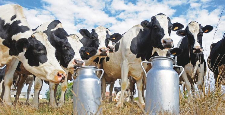 Tunisia-Tunisia has  strategic stock of 20 million liters of milk