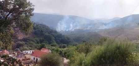 Tunisia – Aïn Draham: Another forest fire threatens homes