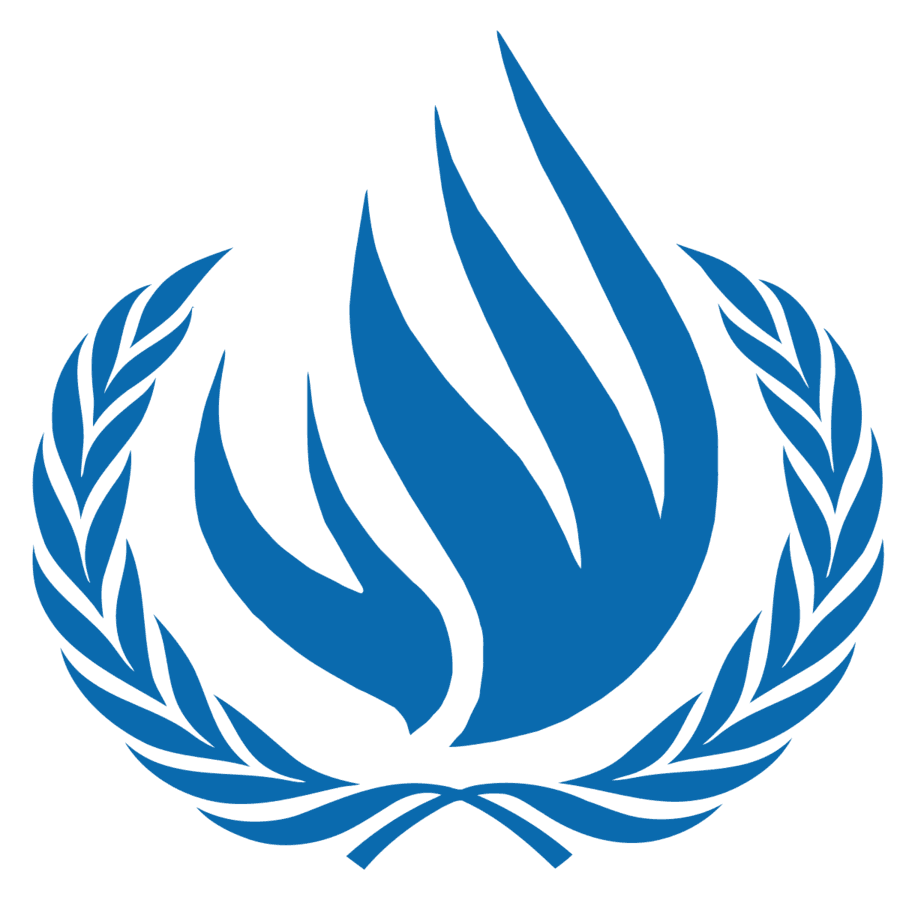 UN General Assembly elects 15 new members to Human Rights Council