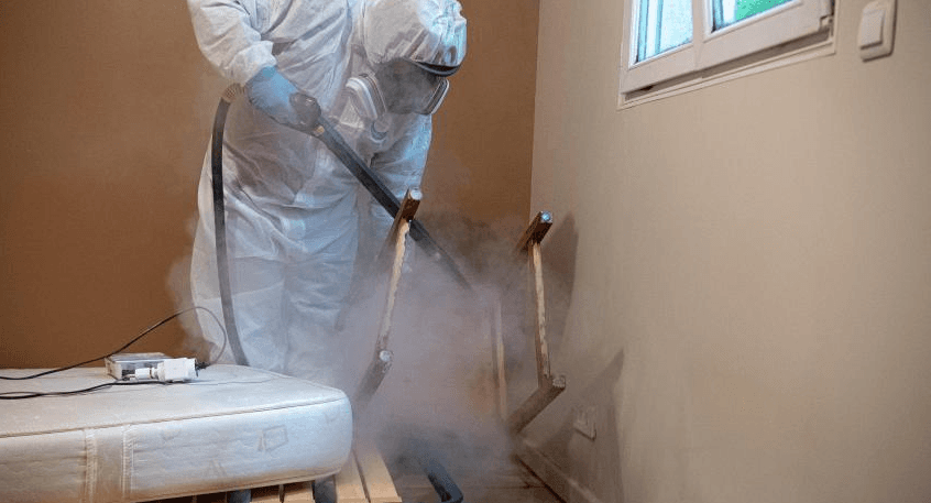 Tunisia-Bedbugs in private dormitory in Kasserine: Disinfection campaigns continue