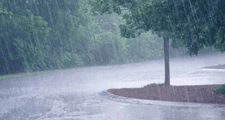 Tunisia-Amounts of rain recorded over last 24 hours