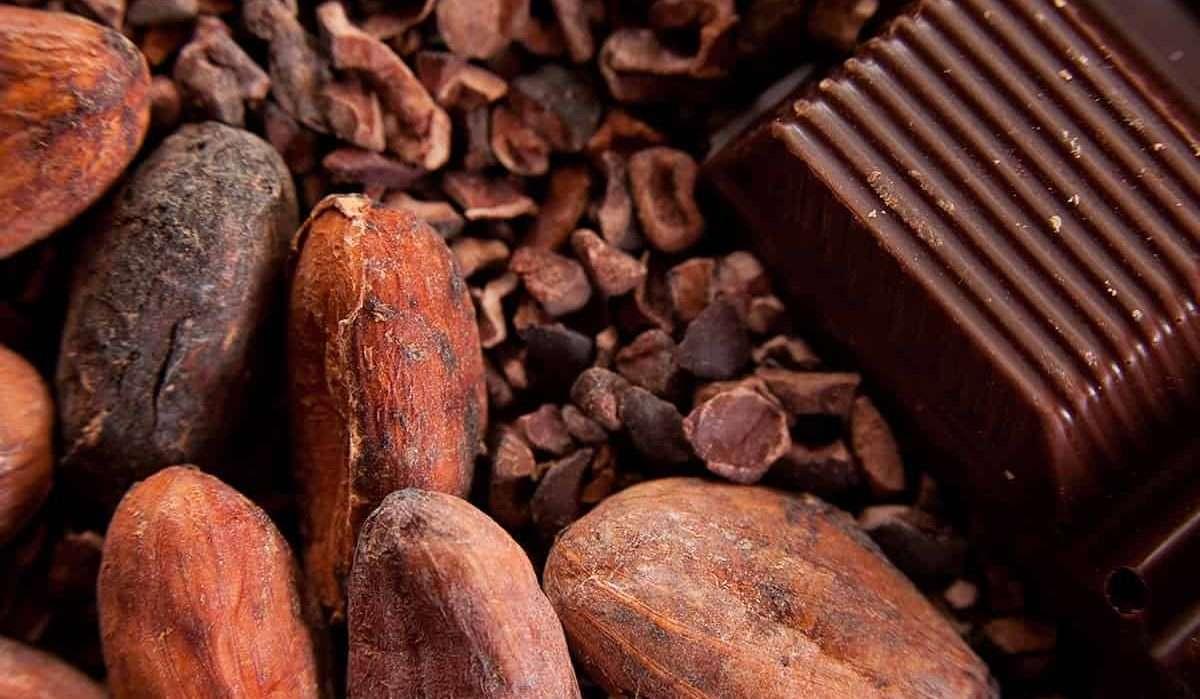 A Looming Crisis in Global Chocolate Supply