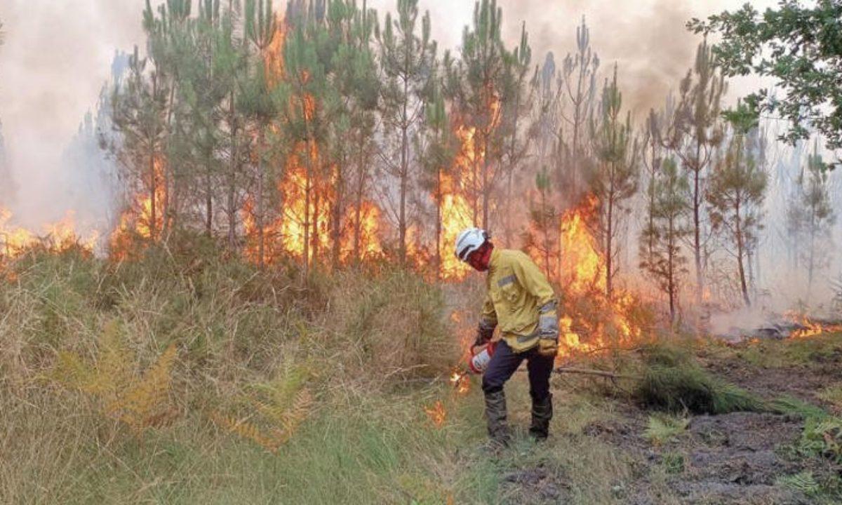 Tunisia-Director General of Forests at  Ministry of Agriculture talks about preparations to prevent fires during summer