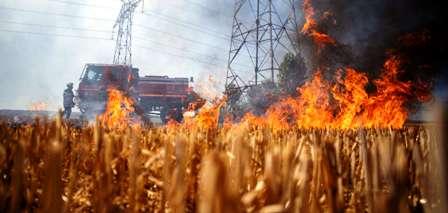 Tunisia – Beja: Seven fires in cereal fields since  beginning of  month