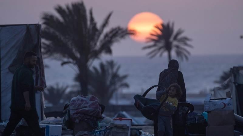 UNRWA: Nearly half a million forcibly displaced from Rafah