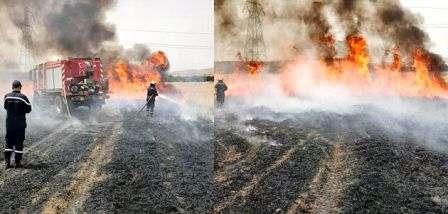 Tunisia – Jendouba:  fire breaks out in  wheat field