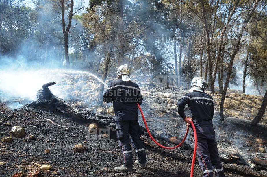 Tunisia: More than 80 fires brought under control during  last 24 hours