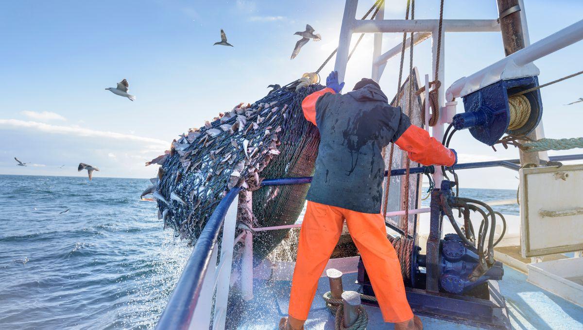 Egyptian Fishermen Caught Illegally Fishing in Tunisia—This Time with Dire Consequences