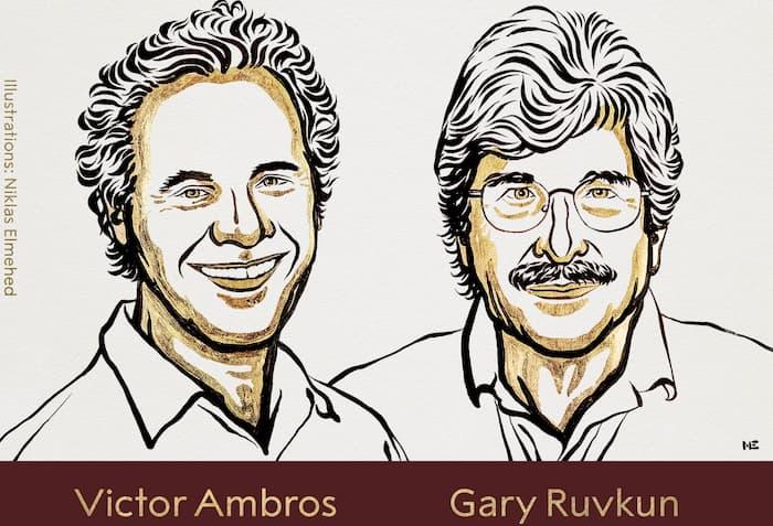 Nobel Prize in medicine honors American duo for their discovery of microRNA