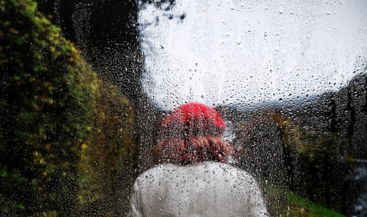 Weather: Get out your umbrellas, it’s going to rain this afternoon